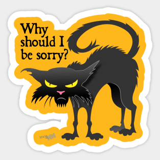 Not Sorry Cat Sticker